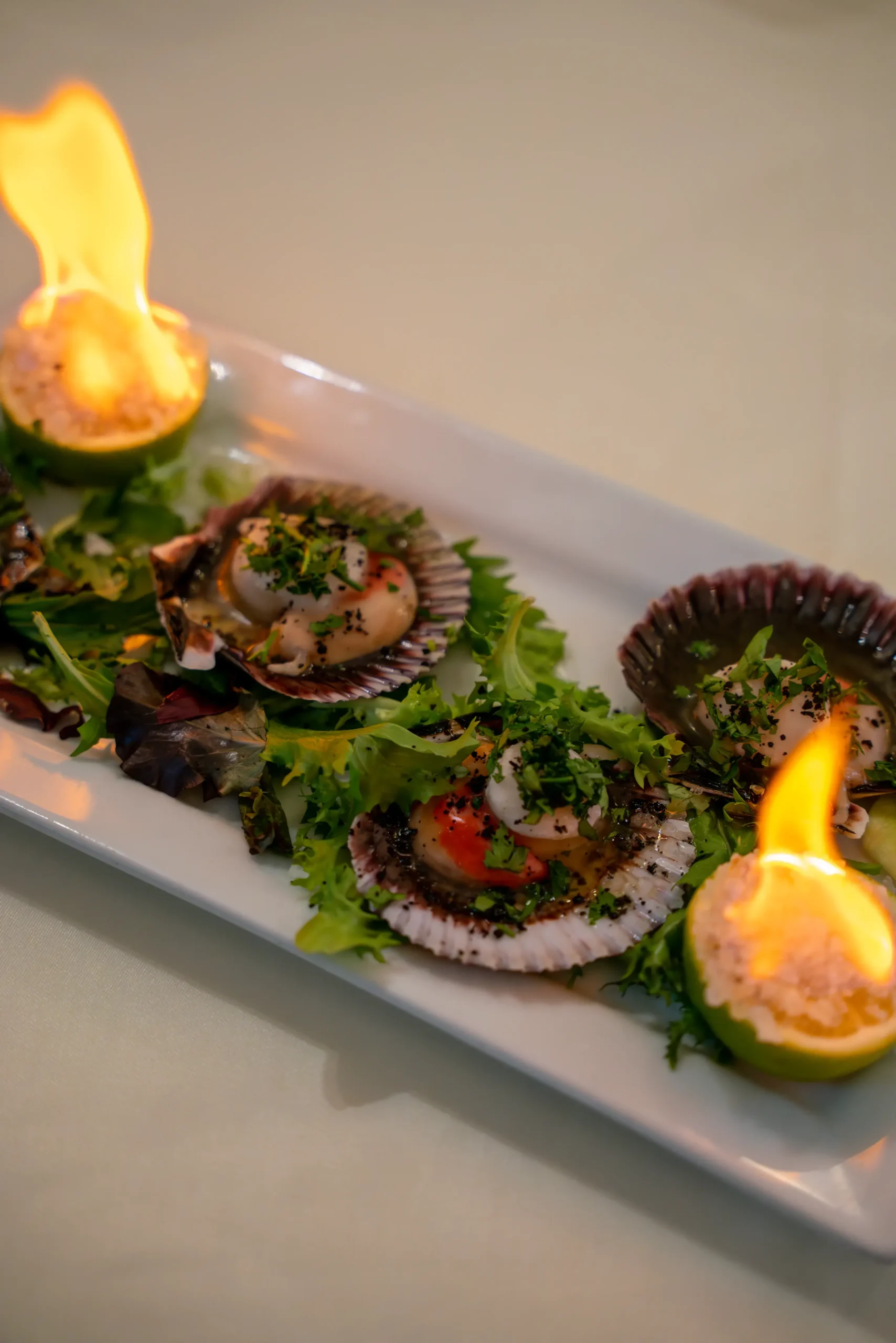 _JGP6185-Mejorado-NR